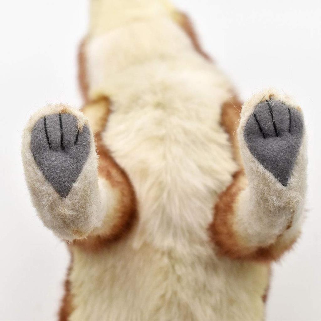 BH5207 HANSA Coyote 35