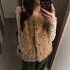 Oni Vest Imitation Lamb Wool Vest Women's Autumn and Winter Loose and Thin Atmosphere Plush Sleeveless Vest Jacket