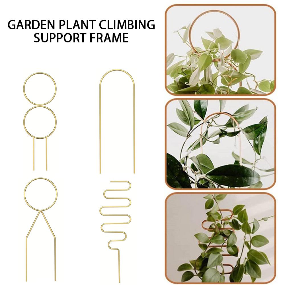 Small Metal Trellis For Potted Plants Robustness & Durable For Indoor Flower Pot Wwo66