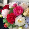 2 Heads Multicolor Artificial Flower Peony Peony Bridal Bouquets Lifelike Flowers  Party Supplies