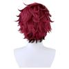 Demon Slayer: Kimetsu No Yaiba Tanjiro Kamado and Nezuko Kamado Gradient COS Wig Character Costume Halloween