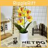 Butterfly Orchid Artificial Flower Bouquet For Home Decor And Event Arrangements