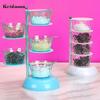 Convenient Good Sealing Visible Seasoning Jar Rotating Design Box Kitchen Accessories