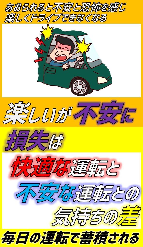 Ogriculture Senior Citizen Driving Safety Set (2 Elderly Mark Magnets) & (Front and Rear Activated Magnetic 1 Piece)