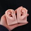 Tools Body for Hearing Teaching Simulation Ear Jewelry Earrings Display Silicone Ear Model Fake Ear