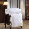 Mulberry Silk Duvet Satin  Jacquard Comforter Wedding Quilt Twin Size Summer Blanket For Couple Bed Single Double Queen Bedding