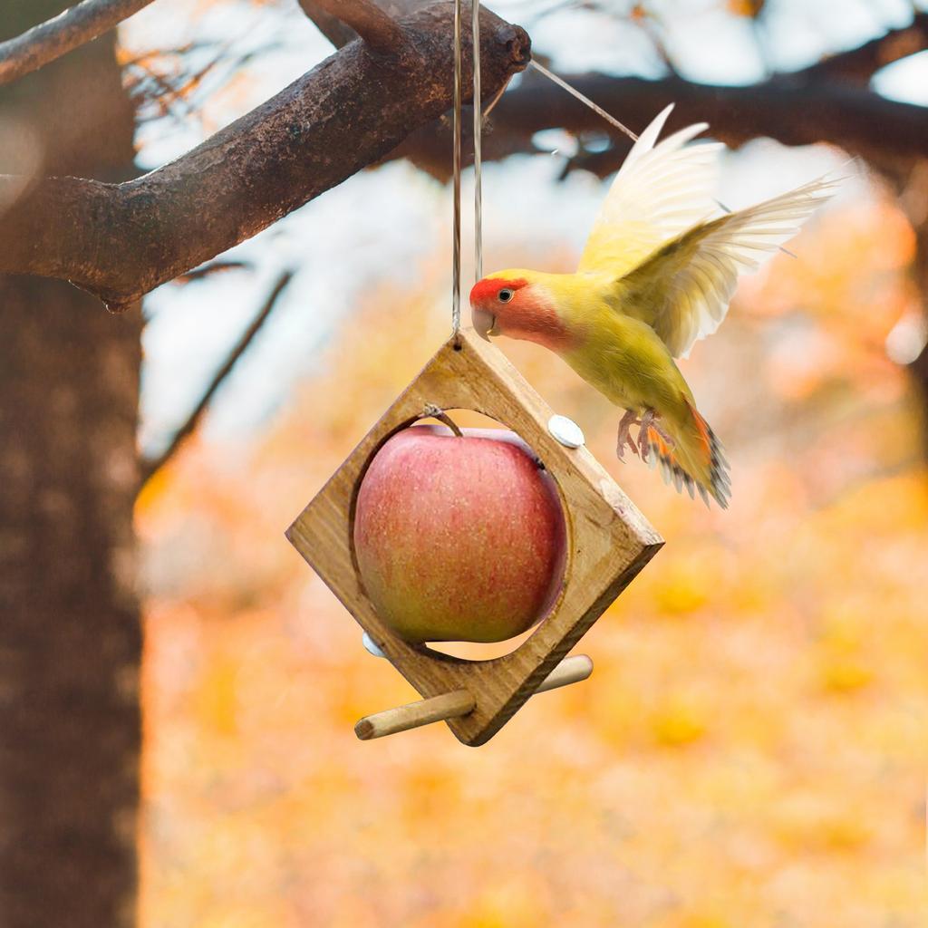 Parrot Toy Bird Fruit Fork Wooden Bird Feeder Fruit Basket Swing Stand