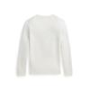 Polo Ralph Lauren Boys 8 18 Polo Bear Cotton Sweater Cwposwey6820704100 