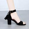 Sandals Kitten Heel Block Heel 2026 Summer New Korean Edition Tassel One Strap High Heels Fashion Black Women's Shoes