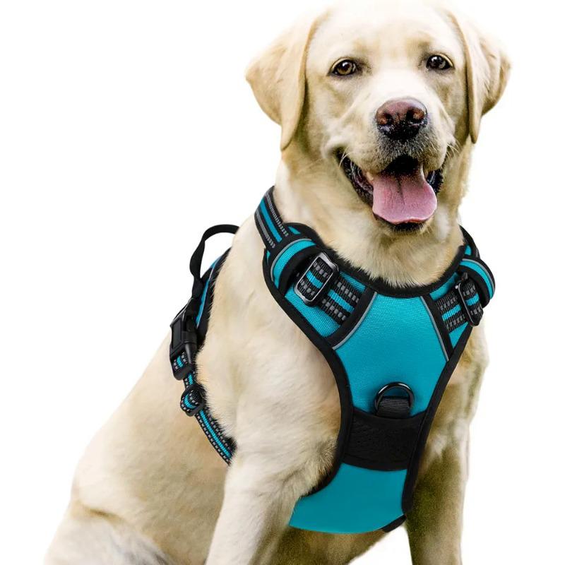 Dog Nylon Chest Harness and Leash for Large Pets