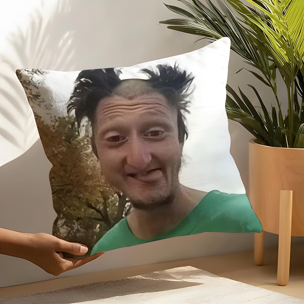 

Funny Ddaniel larSson meme Pillow Case Home Living Room Decoration Linen Pillow Cases Cushion Cover 30X30cm