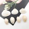 1 Set Beach Conch Shells with Hole Craft Shells Natural Shell Beads Crafting Supplies for Bracelet Jewellery Making