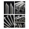 800Pcs M2 Self Tapping Screw for Cross Countersunk for Head Wood Screw Set 304 Stainless Steel Phillips Flat for Head Sc