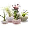 5PCS Funny Planter Pots Adorable Decorative Hanging Planter for Home Office Decor