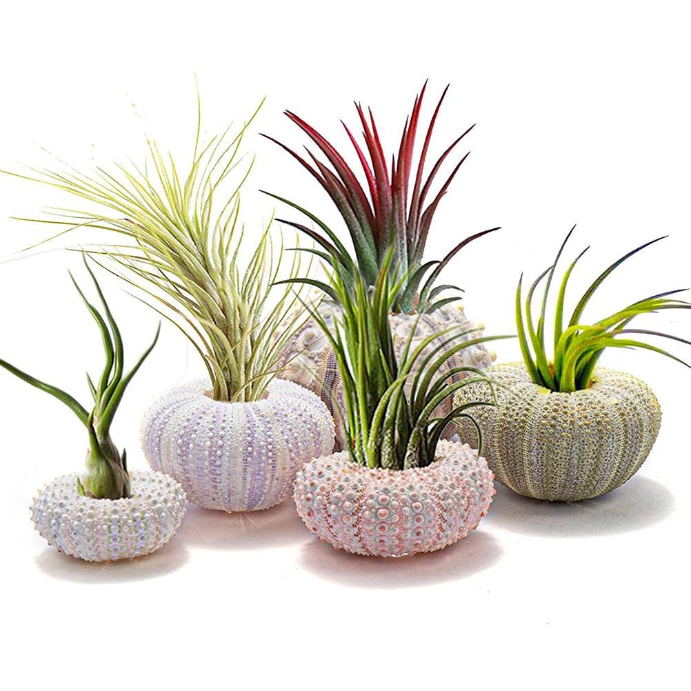 

5PCS Funny Planter Pots Adorable Decorative Hanging Planter for Home Office Decor