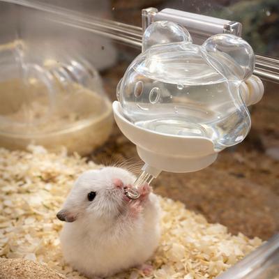 Magnetic Hamster Water Bottle Wall Mounted Dispenser for Small Pets Guinea Pig Rabbit Chinchilla
