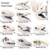 Fuzzy Fossils Plush Riceratops Skull Dinosaur Skull Plush Doll Pillow