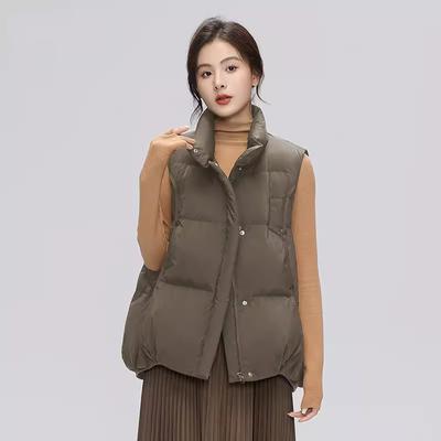 Down Vest Women's 2025 Autumn and Winter New Lightweight Stand-up Collar Design Feels Warm and Wears White Duck Down Vest Tide