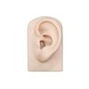 Practice for Hearing Teaching Piercing Practice Body Human Jewelry Earrings Display Simulation Ear Silicone Ear Model Fake Ear