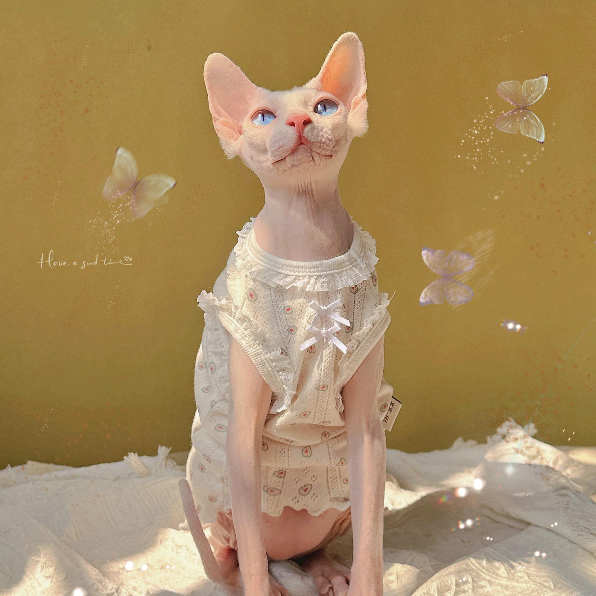 

«Твои глаза полны нежности». Кружевной жилет без рукавов с ароматом феи, одежда для безволосых кошек сфинкса XS