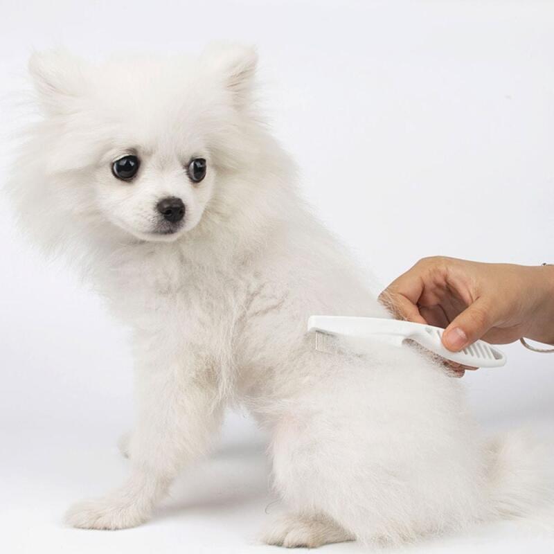 Dog eye booger comb, tear comb, fine comb