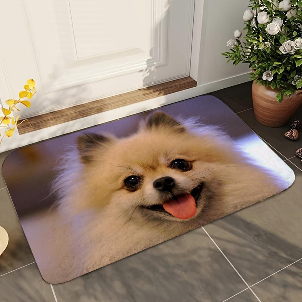 

1 шт. Милые коврики для ванной с изображением померанских шпицев, Впитывающие коврики, Противоскользящие коврики, Принадлежности для домашнего декора, Ковры, Коврики для пола дома, кухни 40x60cm