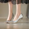 2025 Spring Summer New Plus Size Foreign Trade Women's Pointed Toe Silver Fine Heel High Heel Women's Sexy Banquet Fashion Singl