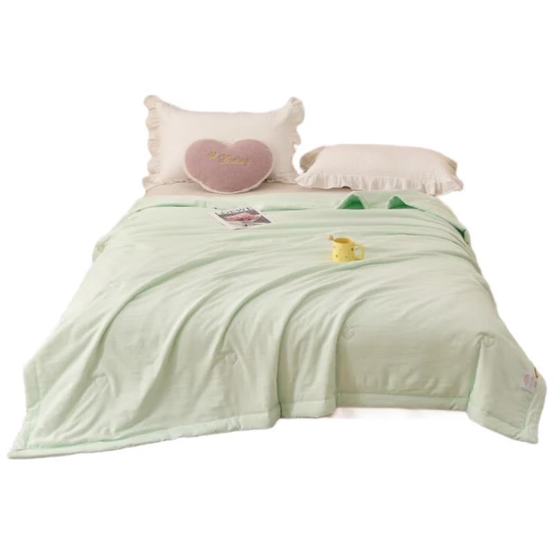 

Fang Wang Cloud Soft Summer Quilt