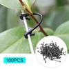 100Pcs Grape Grafting Clips Garden Plant Vegetable Vine Fixing Clamp Black