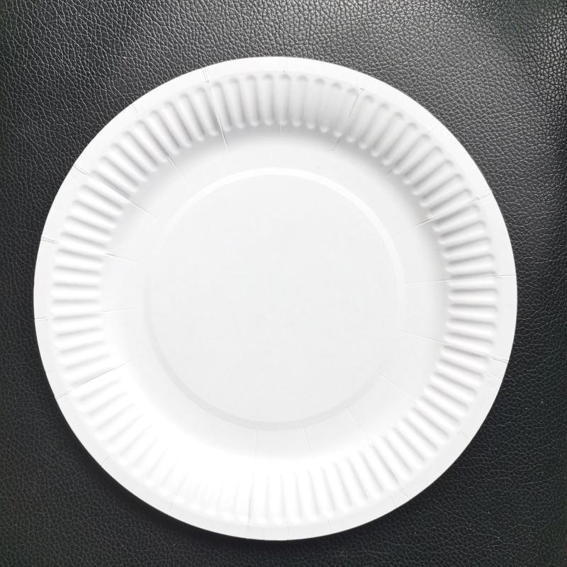 OIMG White 9-inch Disposable Paper Plates