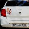 Nálepka na auto Tri Mishki WCS790 13*17cm s krásnou dívkou na auto