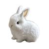 Păpuși și jucării moi – Animale de pluș