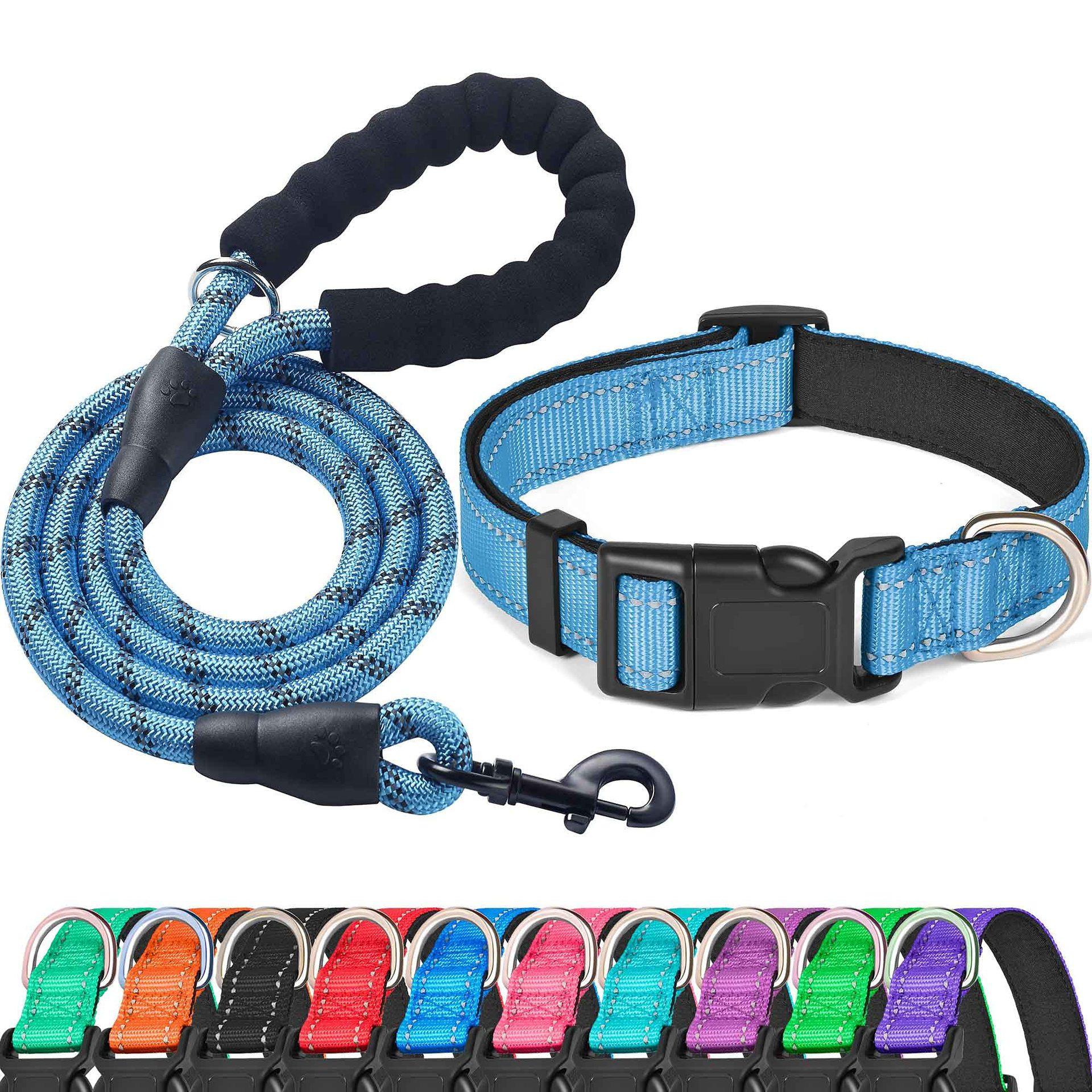 Reflective Adjustable Nylon Dog Collar and Leash Set Small