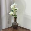 Ceramic vases, dried flowers, hydroponics, green plants, small vases, home and office decorations and ornaments