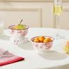 Cute Ceramic Fruit Salad & Dessert Bowl Set