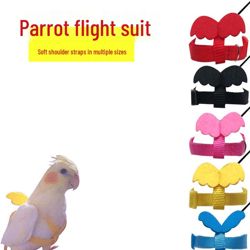 Parrot Flight & Walking Elastic Rope for Cockatiel, Sun Conure, and Peony Birds