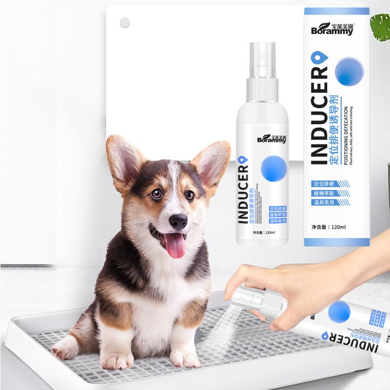 Effektives Stubenreinheitsspray für Hunde zur Standortführung für Urin und Kot