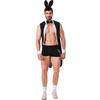 Men's Bunny Costume, Cosplay Holiday Carnival Party Costume Cos Costume, Halloween Costume