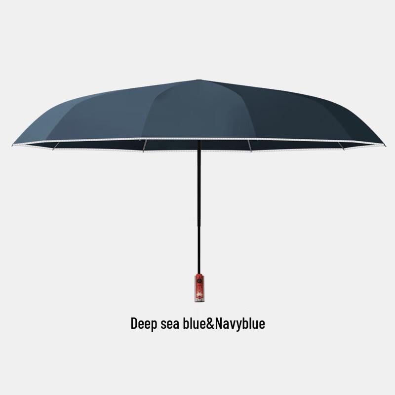 NanQiao 10-Rib Automatic Reverse Folding Umbrella