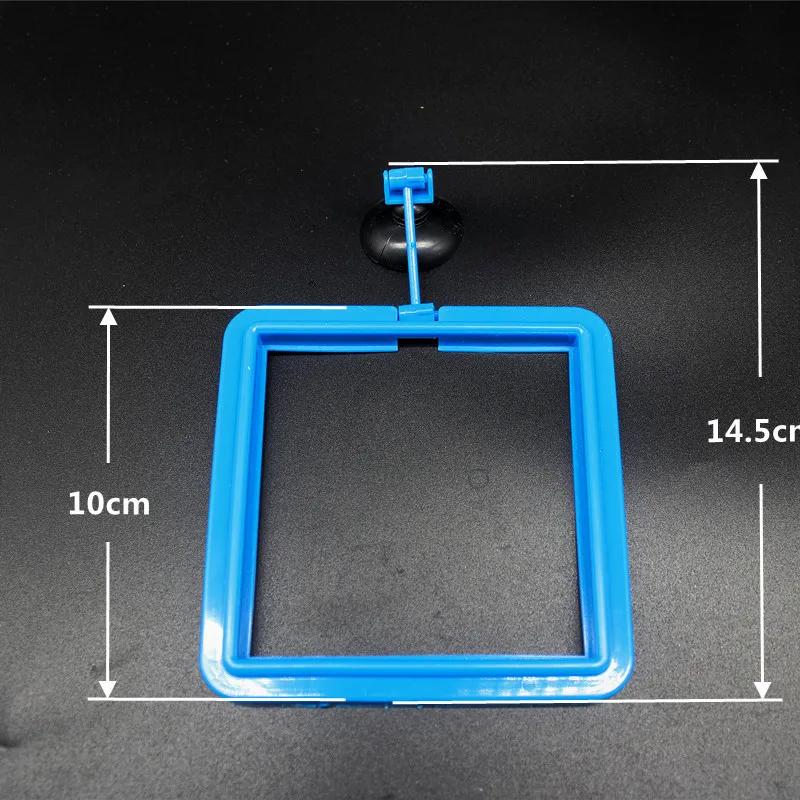 Aquarium Fish Portable Feeding Fish Accessories Feeder Station Floating Square Circle with Suction Cup Easy To Feed Accessories