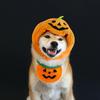 Dress Up Pumpkin Dogs Hat Headdress Plush Cat Headgear Gift Pet Halloween Hat  Dress Up