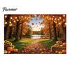 Dekorative Herbstszene für Party 70 x 45 Zoll Kürbis-Hintergrund, Herbsternte-Gnom-Dekorationen Vogelscheuche Fotografie-Hintergrund, Thanksgiving-Banner