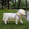 Dog Rainwear Clear Raincoat Poncho, Waterproof EVA Rain Suit for Small Medium Dogs, Pet Jacket with Hood And Leash Hole, Teddy Bichon Outdoor Walking