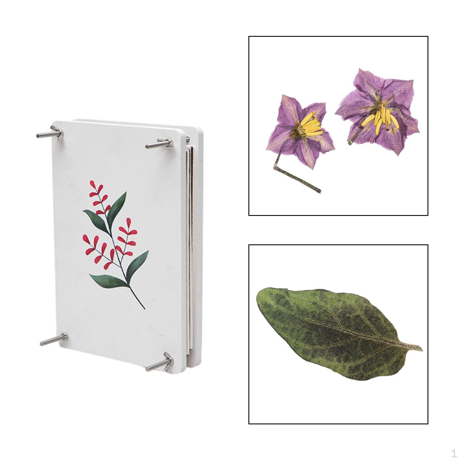 

Пресс-цветочный набор, инструмент для тиснения прессованных цветов «сделай сам», 21 см x 16 см, прессование