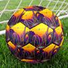 1pc Giraffes Desert Theme Soccer Ball Football, Size 5, Lightweight PVC, Outdoor Training Soccer Ball,Sports Gift T61497
