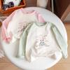 Girls Cotton Long Sleeve Raglan T Shirt Korean Round Neck Block Top Spring Autumn Baby Base Layer Tee