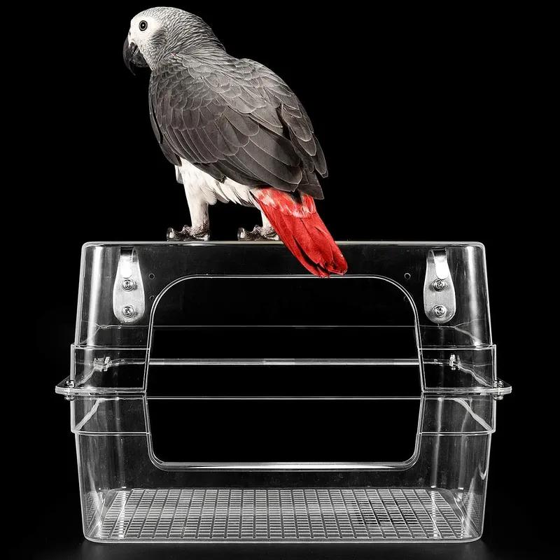 Colorday Large fully transparent Bird Bath