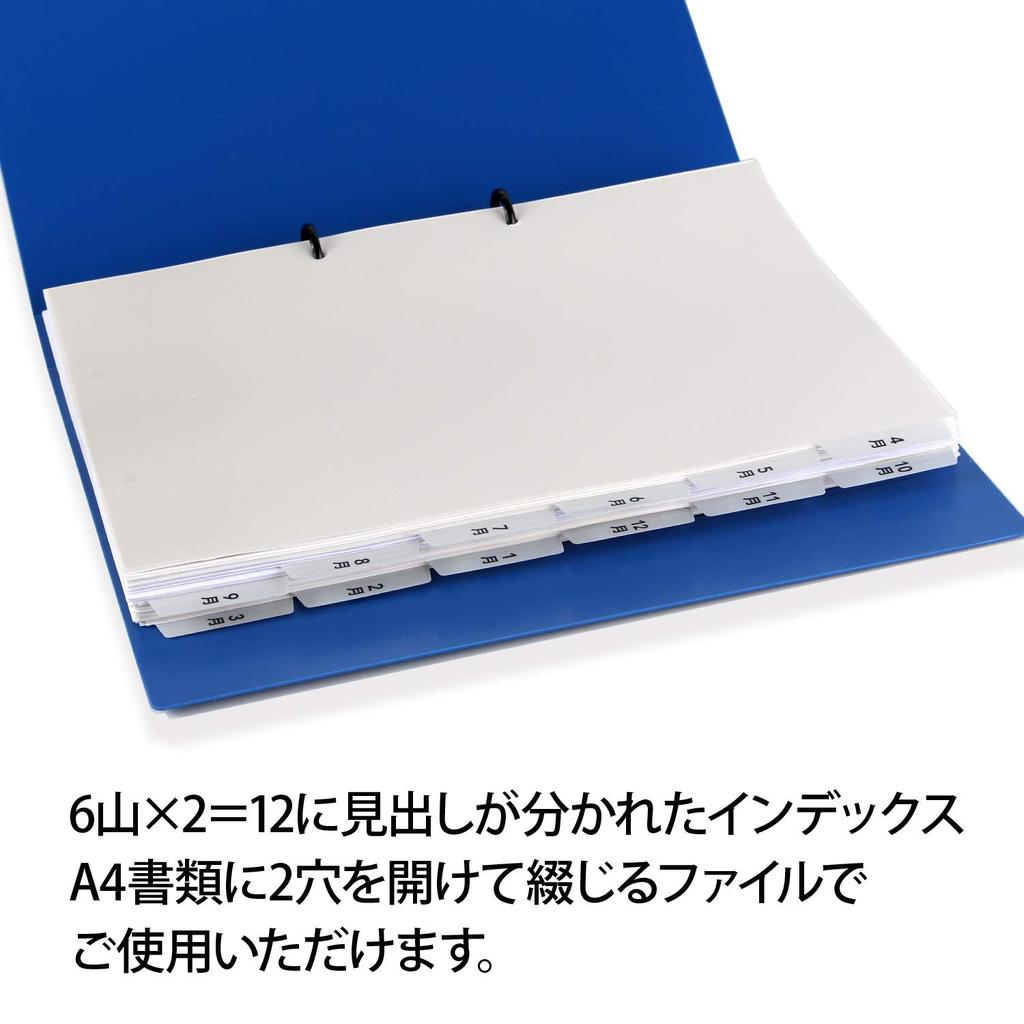 Plus Caregiving Support Index for User Medical Records, 12 Months (April Start, 6 Tabs X 2), 10 Sets, Gray FL-809IS 98-080 X 10