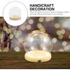 Hand-Made Glass Cover Dome LED Decor Plant with Glowing Base Cloche Wooden Preserved Flower Display Case Decorate Toddler