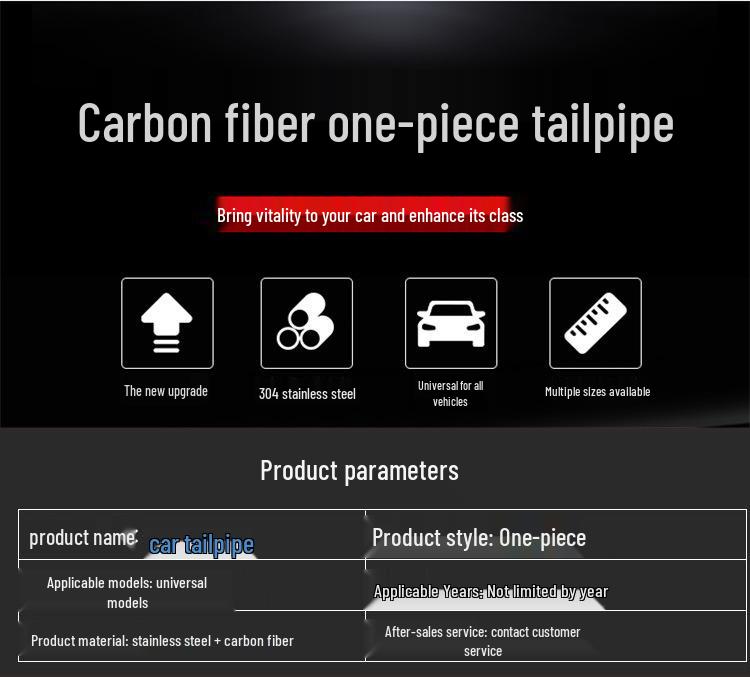 Carbon Fiber Dual Outlet Y-Style Exhaust Tip for Various Models